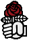 Red rose of socialism Red rose of socialism